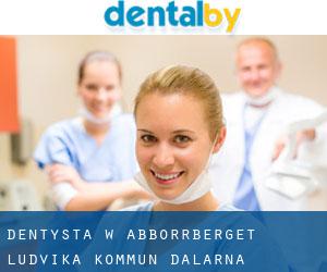 dentysta w Abborrberget (Ludvika Kommun, Dalarna)