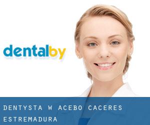 dentysta w Acebo (Caceres, Estremadura)