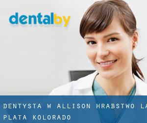 dentysta w Allison (Hrabstwo La Plata, Kolorado)