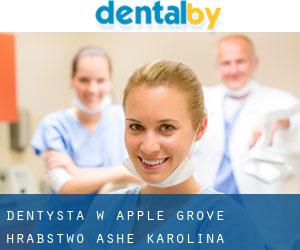 dentysta w Apple Grove (Hrabstwo Ashe, Karolina Północna)