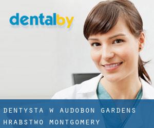 dentysta w Audobon Gardens (Hrabstwo Montgomery, Pensylwania)