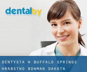 dentysta w Buffalo Springs (Hrabstwo Bowman, Dakota Północna)