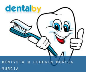 dentysta w Cehegín (Murcia, Murcia)