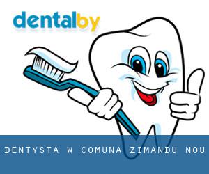 dentysta w Comuna Zimandu Nou
