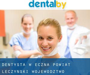 dentysta w Łęczna (Powiat łęczyński, Województwo lubelskie)