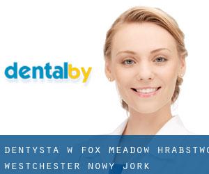dentysta w Fox Meadow (Hrabstwo Westchester, Nowy Jork)