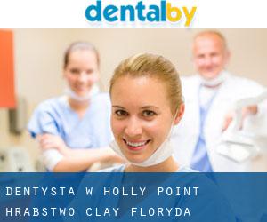 dentysta w Holly Point (Hrabstwo Clay, Floryda)