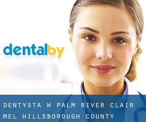 dentysta w Palm River-Clair Mel (Hillsborough County, Floryda)