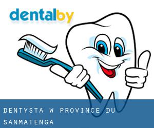 dentysta w Province du Sanmatenga