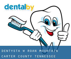 dentysta w Roan Mountain (Carter County, Tennessee)