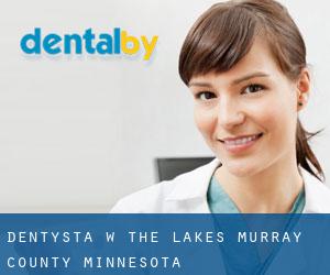 dentysta w The Lakes (Murray County, Minnesota)
