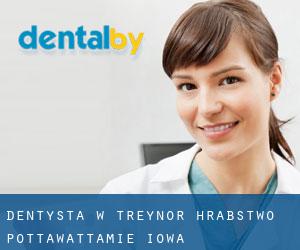 dentysta w Treynor (Hrabstwo Pottawattamie, Iowa)
