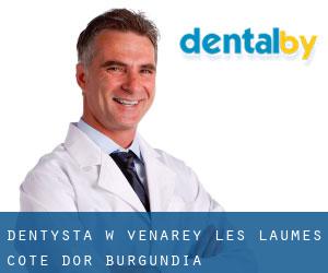 dentysta w Venarey-les-Laumes (Cote d'Or, Burgundia)