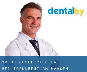 Mr. Dr. Josef Pichler (Heiligenkreuz am Waasen)