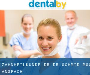 Zahnheilkunde Dr. Dr. Schmid MSc (Anspach)